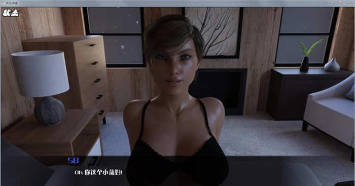 图片[2]-文化冲击（困惑）V2.4Fix 精修汉化版 PC+安卓+全CG 4G-柠檬ACG