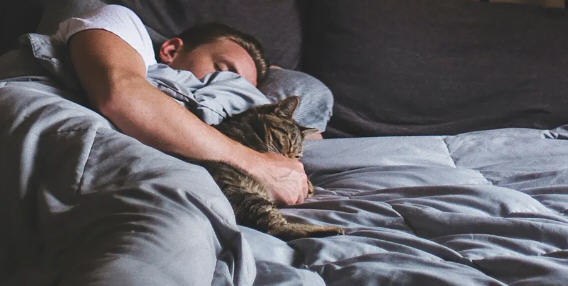 灵丹妙药(Elixir of Life) ver0.8 浏览器汉化版 HTML游戏 1G【PC端】-柠檬ACG