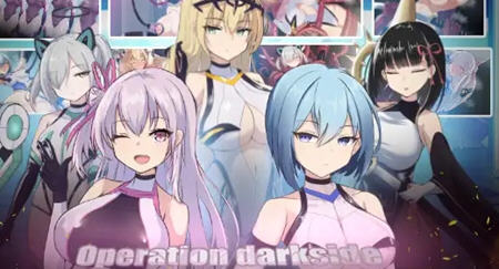 圣核战姬毁灭作战 内置汉化版 日系RPG游戏 900M-柠檬ACG